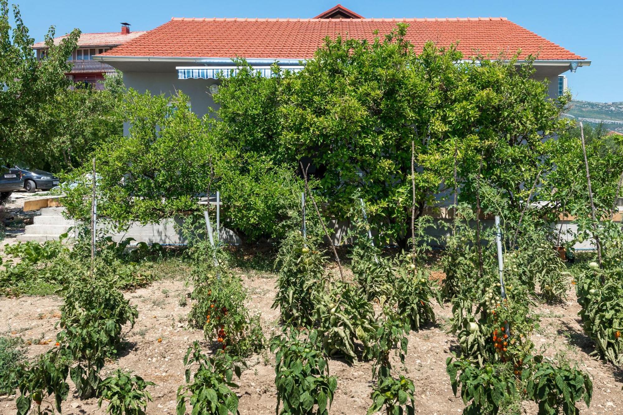 Villa House Marin à Kaštela Extérieur photo